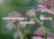 巴西对比利时预测比分⚽🏅巴西对比利时的预测比分