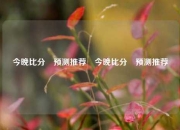 今晚比分⚽预测推荐⚽今晚比分⚽预测推荐
