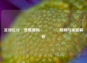 足球比分⚽竞猜规则🎖️规则与策略解析
