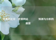 世界杯比分⚽竞猜网站🥈预测与分析的盛宴
