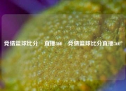 竞猜篮球比分⚽直播360⚽竞猜篮球比分直播360°