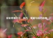 足彩竞猜比分⚽技巧⚾策略与技巧指南