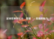 足球世界杯比分⚽竞猜✌️竞猜的魅力