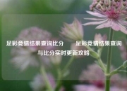 足彩竞猜结果查询比分⚽⚽足彩竞猜结果查询与比分实时更新攻略