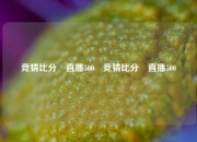 竞猜比分⚽直播500⚽竞猜比分⚽直播500