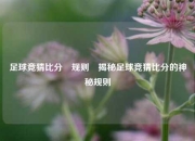 足球竞猜比分⚽规则⚾揭秘足球竞猜比分的神秘规则