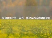 足球竞猜比分⚽500万⚽揭秘500万元的财富密码