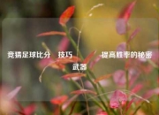 竞猜足球比分⚽技巧🏐提高胜率的秘密武器