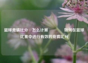 篮球竞猜比分⚽怎么计算🥎如何在篮球比赛中进行有效的竞猜比分