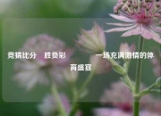 竞猜比分⚽胜负彩👍一场充满激情的体育盛宴
