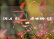 足球比分⚽竞猜🏆挑战与机遇并存的竞技场