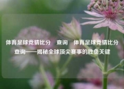 体育足球竞猜比分⚽查询⚽体育足球竞猜比分⚽查询——揭秘全球顶尖赛事的胜负关键