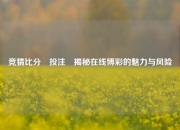 竞猜比分⚽投注⚽揭秘在线博彩的魅力与风险