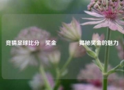 竞猜足球比分⚽奖金👉揭秘奖金的魅力