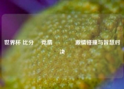 世界杯 比分⚽ 竞猜🏆激情碰撞与智慧对决