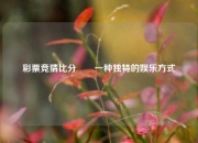 彩票竞猜比分⚽⚾一种独特的娱乐方式