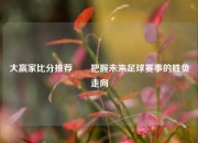 大赢家比分推荐✌️把握未来足球赛事的胜负走向