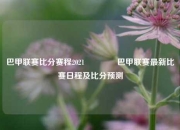 巴甲联赛比分赛程2021🏐巴甲联赛最新比赛日程及比分预测