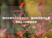 国内在哪可以买篮球比分⚽国内购买篮球比赛实时比分的便捷选择