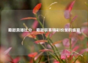 葡超直播比分⚽葡超联赛精彩纷呈的盛宴