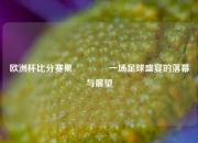 欧洲杯比分赛果🥇一场足球盛宴的落幕与展望
