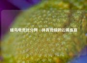 蜂鸟电竞比分网⚾体育竞技的云端盛宴