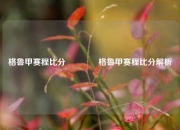 格鲁甲赛程比分🥈格鲁甲赛程比分解析