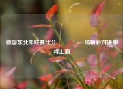 德国东北部联赛比分🏀一场精彩对决即将上演