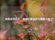 体探足球比分⚾揭秘比赛动态与策略分析