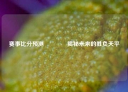 赛事比分预测🥉揭秘未来的胜负天平