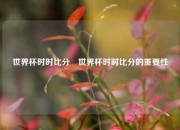 世界杯时时比分⚾世界杯时时比分的重要性