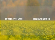 欧洲杯比分总结🌈德国队强势登顶