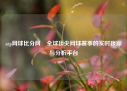 atp网球比分网⚽全球顶尖网球赛事的实时跟踪与分析平台