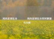 河内足球比分🥉河内足球比分实时更新与分析