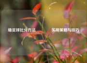 赌足球比分方法👉实用策略与技巧