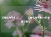 足球比分苹果app🏆足球比分苹果APP的便捷与魅力