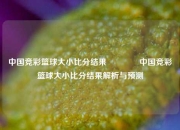 中国竞彩篮球大小比分结果🏀中国竞彩篮球大小比分结果解析与预测