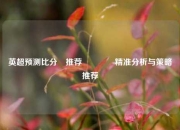 英超预测比分⚽推荐🥉精准分析与策略推荐