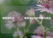 猜篮球比分🥎猜篮球比分的乐趣与挑战