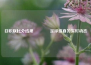 日职联比分结果🏀足球盛宴的实时动态