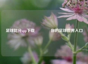 足球比分app下载🏀你的足球世界入口