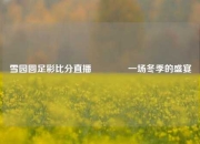 雪园圆足彩比分直播🥎一场冬季的盛宴