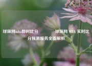 球琛网mba即时比分🥈球琛网 MBA 实时比分预测服务全面解析