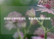 足球比分即时足球比⚾掌握实时竞技的脉搏