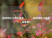 篮网球比分网在哪看🌈篮网球比分网在哪里看？