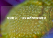 赌坊比分⚽一场充满诱惑的赌博盛宴