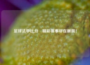 足球法甲比分⚽精彩赛事尽在眼前！