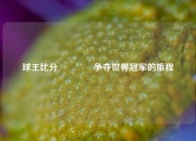 球王比分🥈争夺世界冠军的旅程