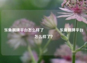 乐鱼棋牌平台怎么样了🏀乐鱼棋牌平台怎么样了？
