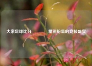 大家足球比分👍精彩纷呈的竞技盛宴